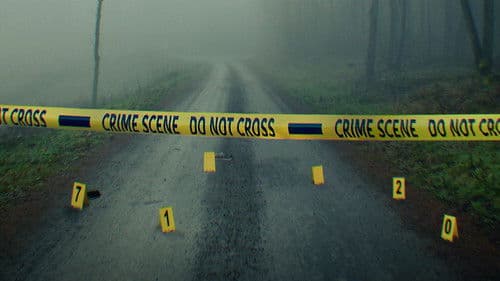 Unsolved Mysteries Bild 3