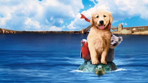 Napoleon - Abenteuer auf vier Pfoten Bild 8