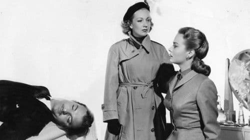 Drohende Schatten Bild 6