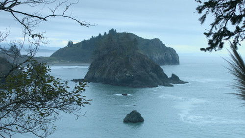 Unhuman Nature Bild 3