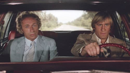 Der Hornochse und sein Zugpferd Bild 4