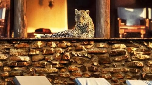 Das Jahr, das unsere Erde veränderte Bild 1