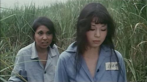 女囚101 しゃぶる Bild 4