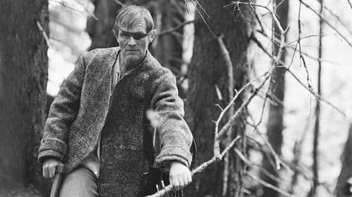 Drak sa vracia Bild 2