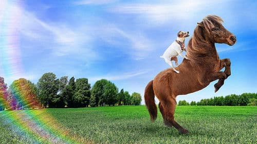 Adventures of Dally and Spanky Bild 7