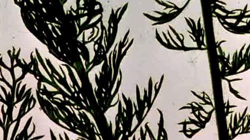 The Garden of Earthly Delights Bild 1