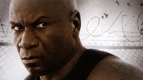 Animal - Gewalt hat einen Namen Bild 1