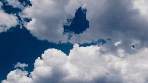 The Happening Bild 6