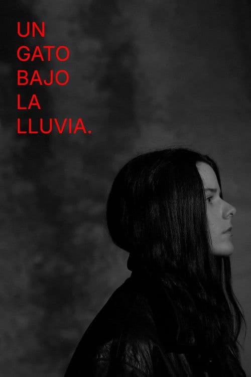 Un gato bajo la lluvia.