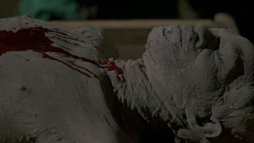 Insel des Terrors Bild 2