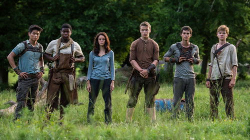 Maze Runner - Die Auserwählten im Labyrinth Bild 7
