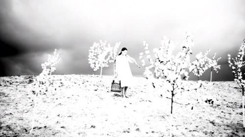 Quelle für die Dürstenden Bild 6