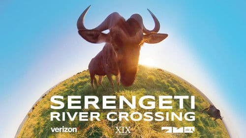 Serengeti River Crossing Bild 1