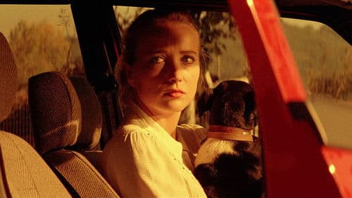 L'été en pente douce Bild 6