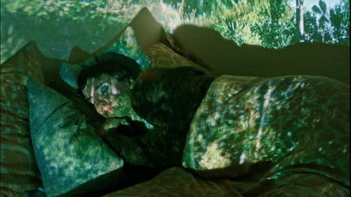 do you remember the trees? Bild 1