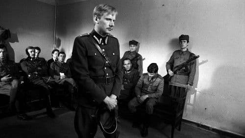 Wierne blizny Bild 3