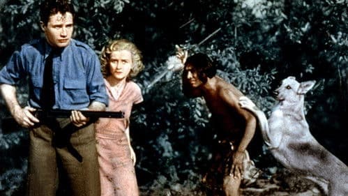 The Flaming Signal Bild 1