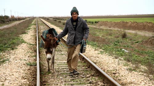 Frontier Blues Bild 2