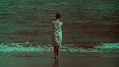 Входящая В Море Bild 1