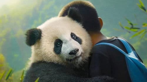 Moon, der Panda Bild 3