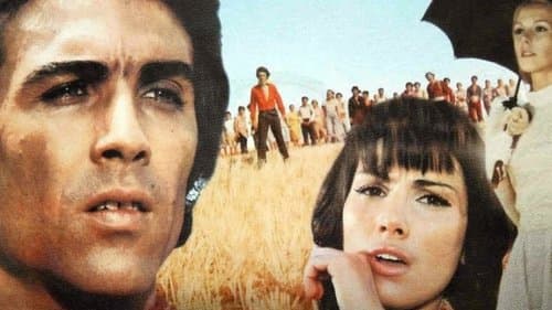 Αδέρφια μου αλήτες πουλιά Bild 1