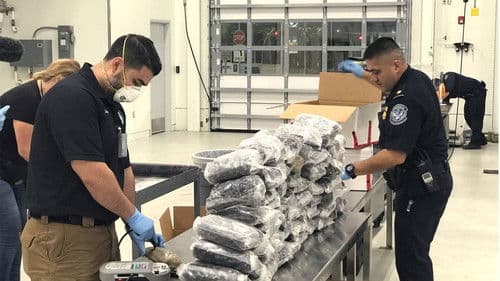 Borderforce USA: The Bridges Bild 5