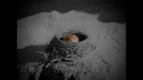 Grateful Grapefruit Bild 5