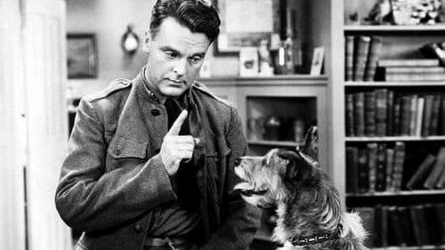 The Keeper of the Bees Bild 2