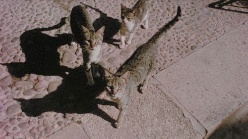 Souvenirs souvenirs Bild 4