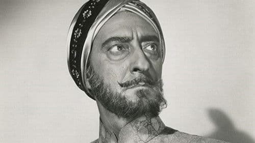 Gewehre für Bengali Bild 5