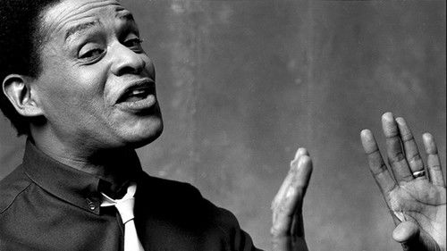 Jazz Under the Skies Bild 1