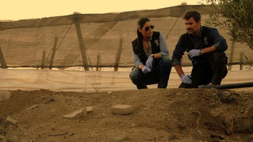 Mar de plástico Bild 3