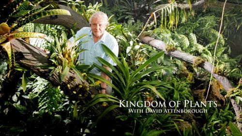 Im Reich Der Pflanzen - mit David Attenborough Bild 6