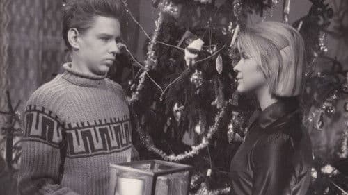 Дикая собака Динго Bild 4