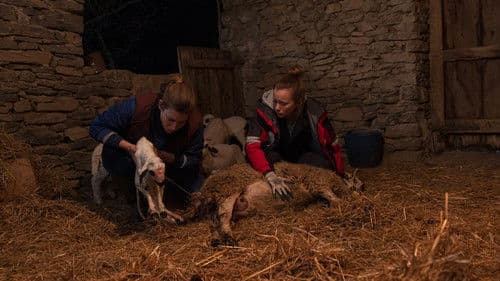 Lo que queda de ti Bild 3