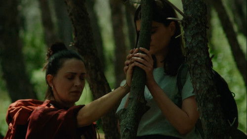 Don’t Try This in the Woods Bild 1