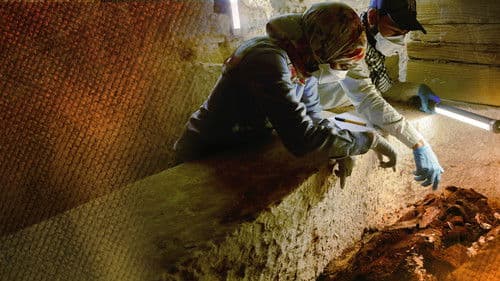 Königreich der Mumien Bild 1