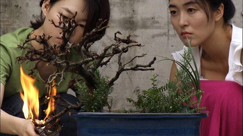 다시 태어나고 싶어요, 안양에 Bild 1