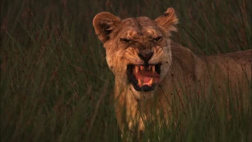 Creative Killers Bild 6