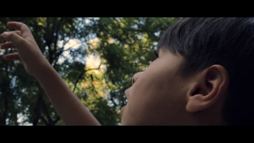 ¿Si Pudiera Interpellar Estrellas? Bild 2