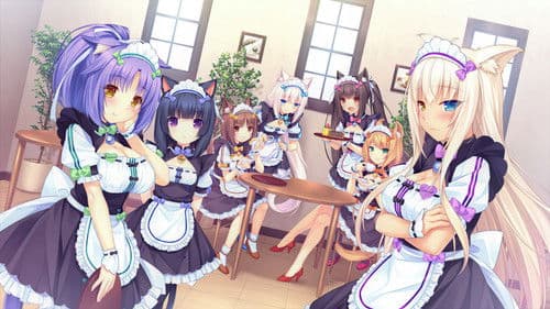 Nekopara OVA Bild 5