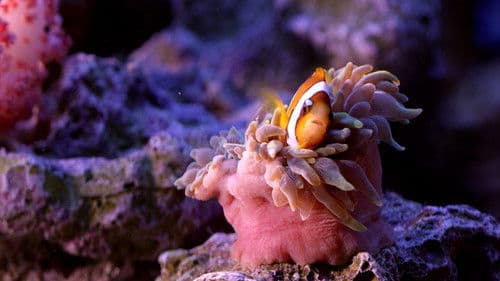 美力台灣3D Bild 4