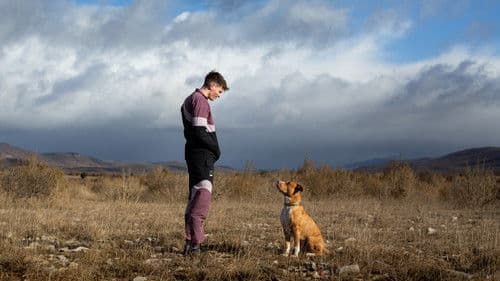 Schrottplatzköter Bild 7