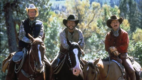 City Slickers - Die Großstadt-Helden Bild 2