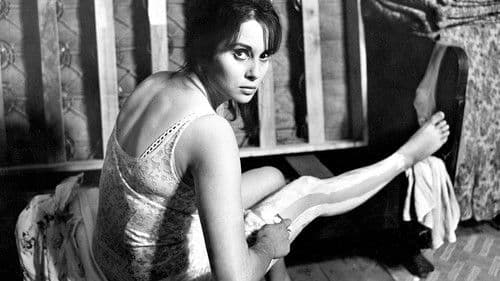 Буђење пацова Bild 2