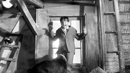 Das indische Tuch Bild 7