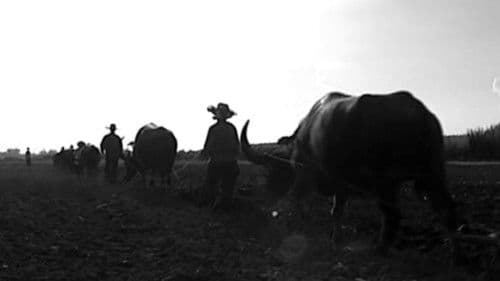 Ebolusyon ng Isang Pamilyang Pilipino Bild 6