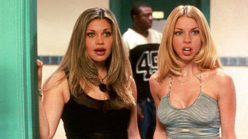 College Animals Bild 4