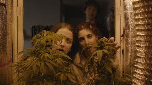 Verano Trippin Bild 3