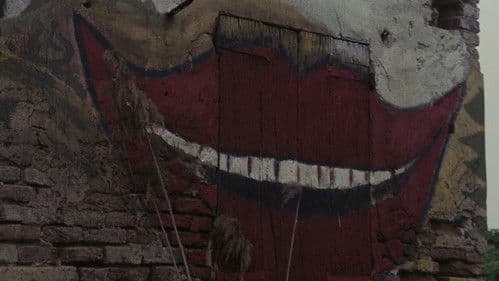 Das Haus der lachenden Fenster Bild 8